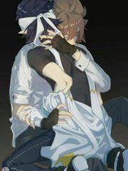 pr九天狐科技升级版